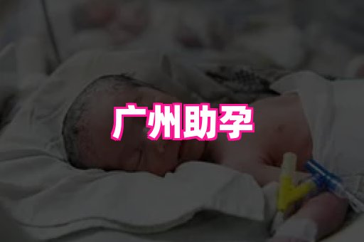 gfg孕网 1