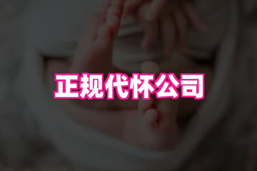 gfg孕网 3