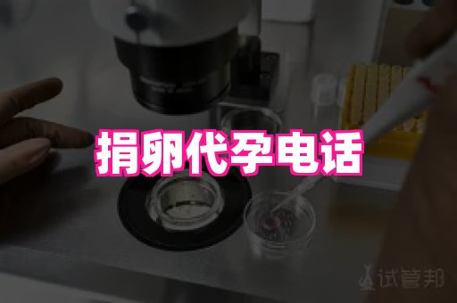 gfg孕网 4
